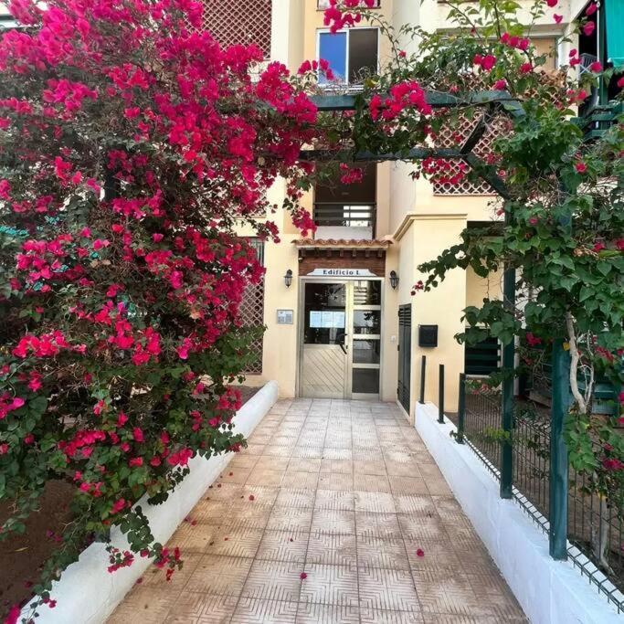 Apartman Los Cristianos-Cristimar ロスクリスティアーノス エクステリア 写真